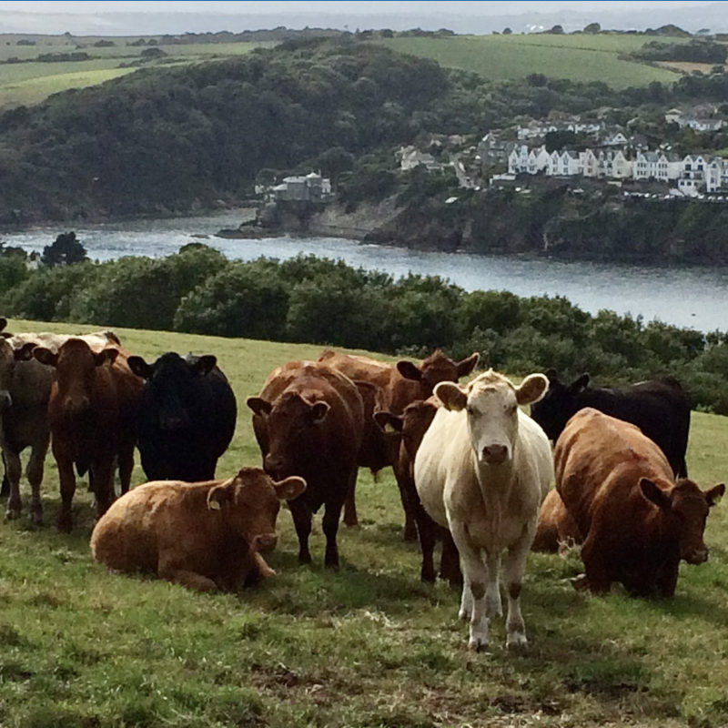 Advice to livestock farmers following hottest June