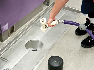 Fogging improves packhouse hygiene and controls contamination