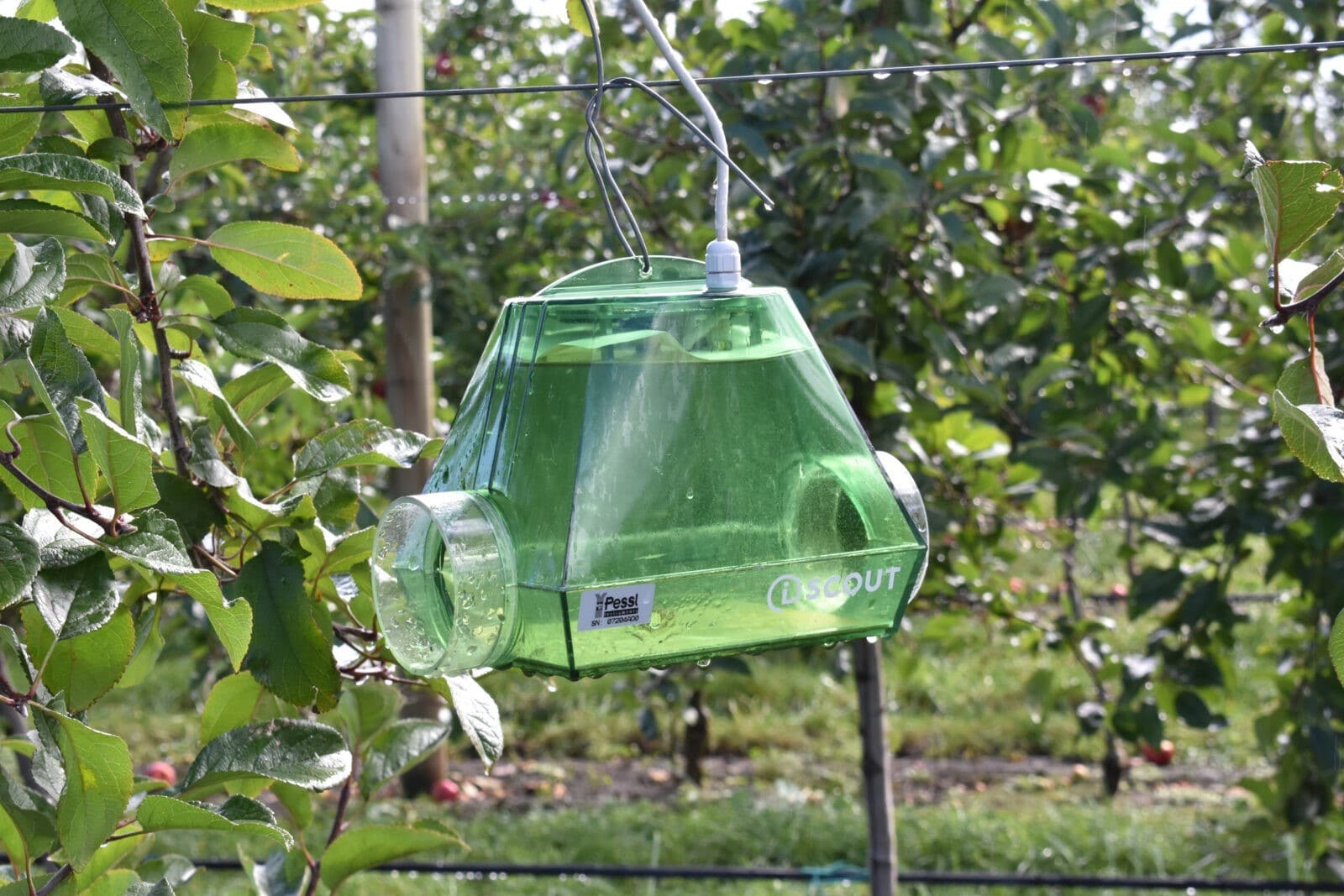 Solar powered autonomous pest trap focus of BASF and Pessl Instruments collaboration