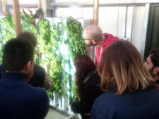 Research field trip to the Niab Innovation Hub