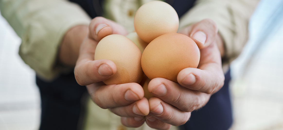 Lombard: How technology helped a poultry farmer grow his business more sustainably