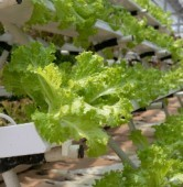 image_2023-04-17_143459601