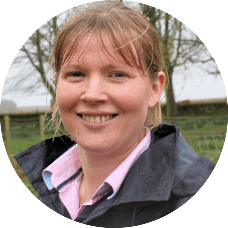 image_2023-04-17_155851593