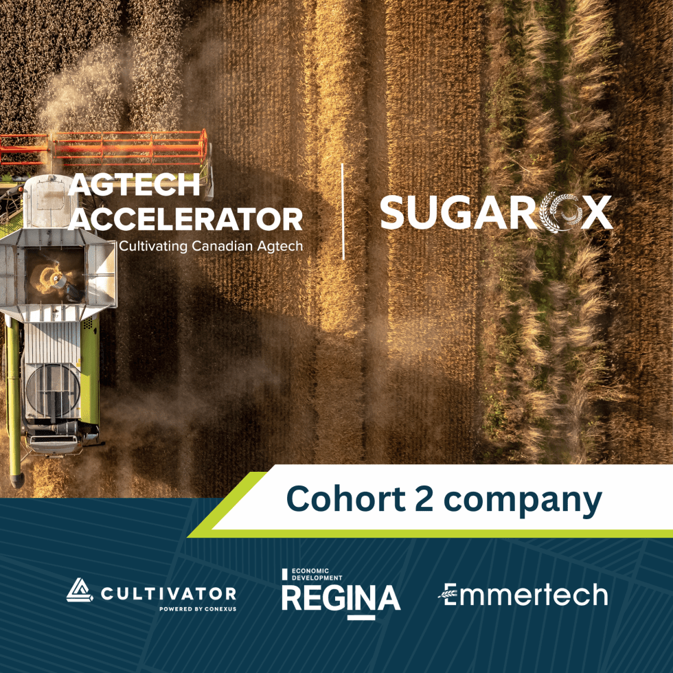 image_2023-04-19_140307862