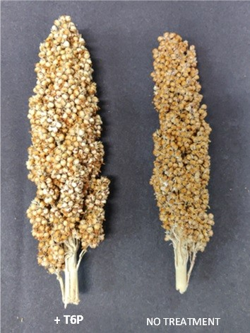 image_2023-04-19_140518784