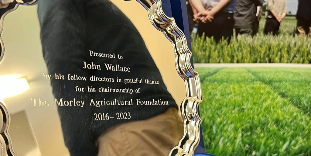 image_2023-04-19_160924717