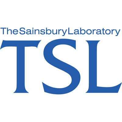 image_2023-04-19_163010220