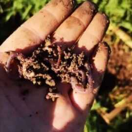 image_2023-04-19_163600950