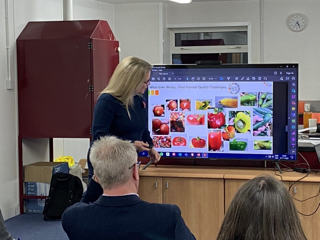 lizzie-sagoo-Veryan-Bliss-from-Suncrop-2