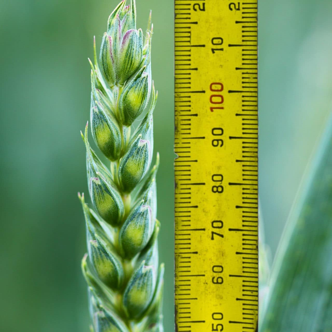 Measuring the environment – where do you start?