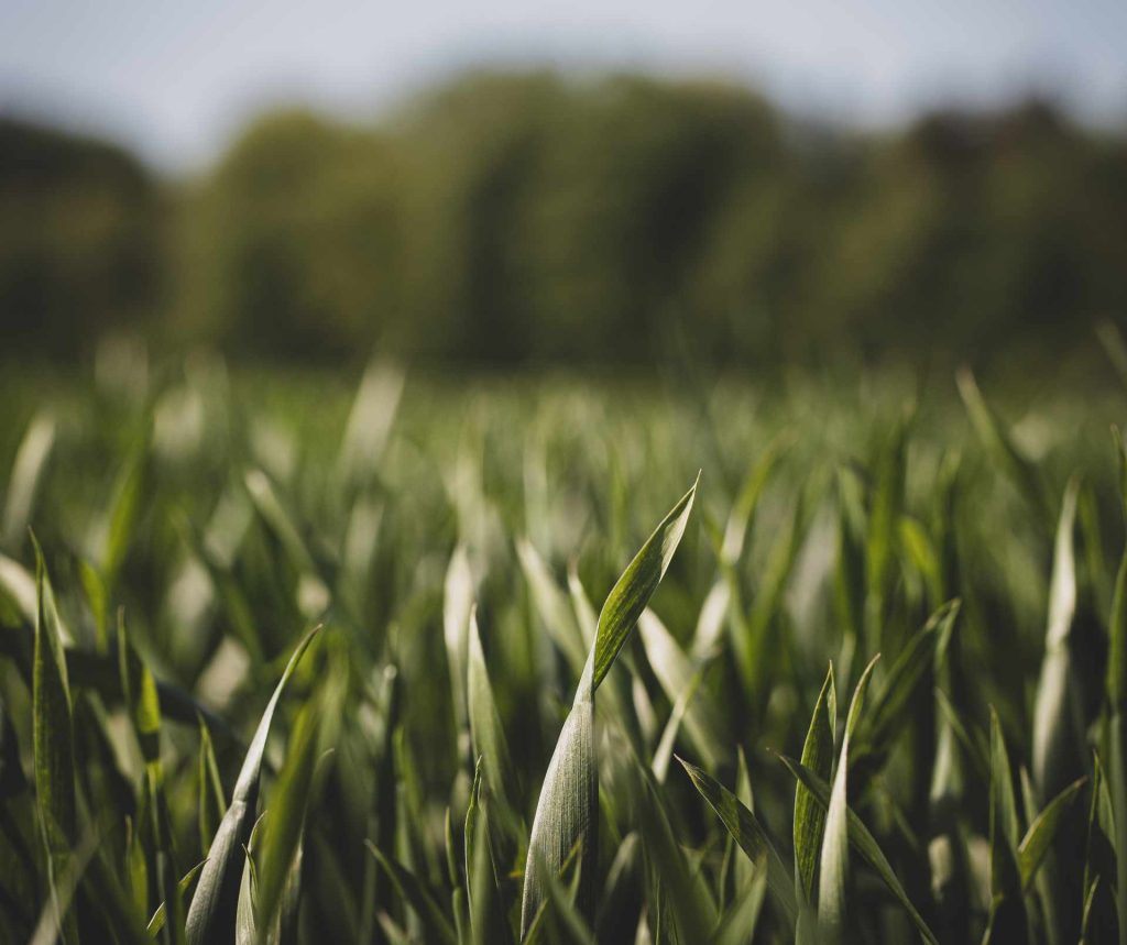 nutrisphere-n-header