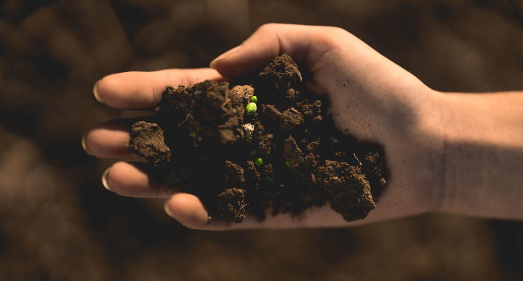 organicmatter-soil-hands-spain-33f398c3-rotated