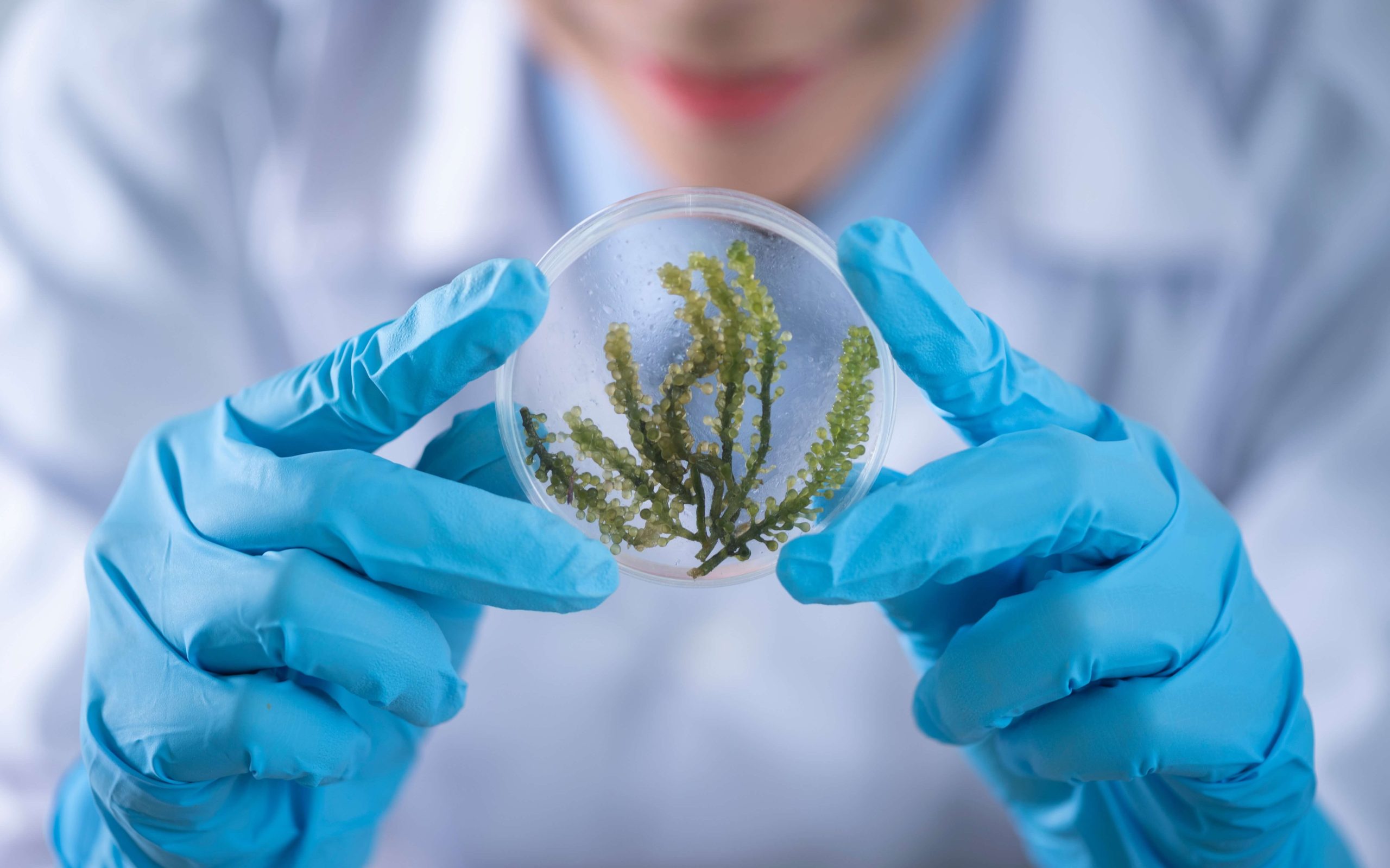 Seeking scientific solutions – who decides?