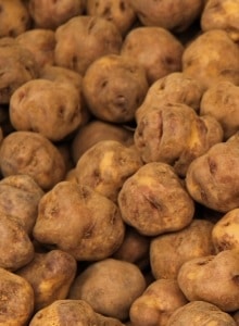 Agri-TechE members head to EAPR conference