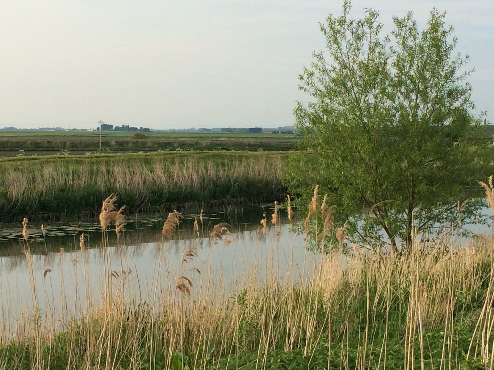 New models help minimise water pollution and optimise yield