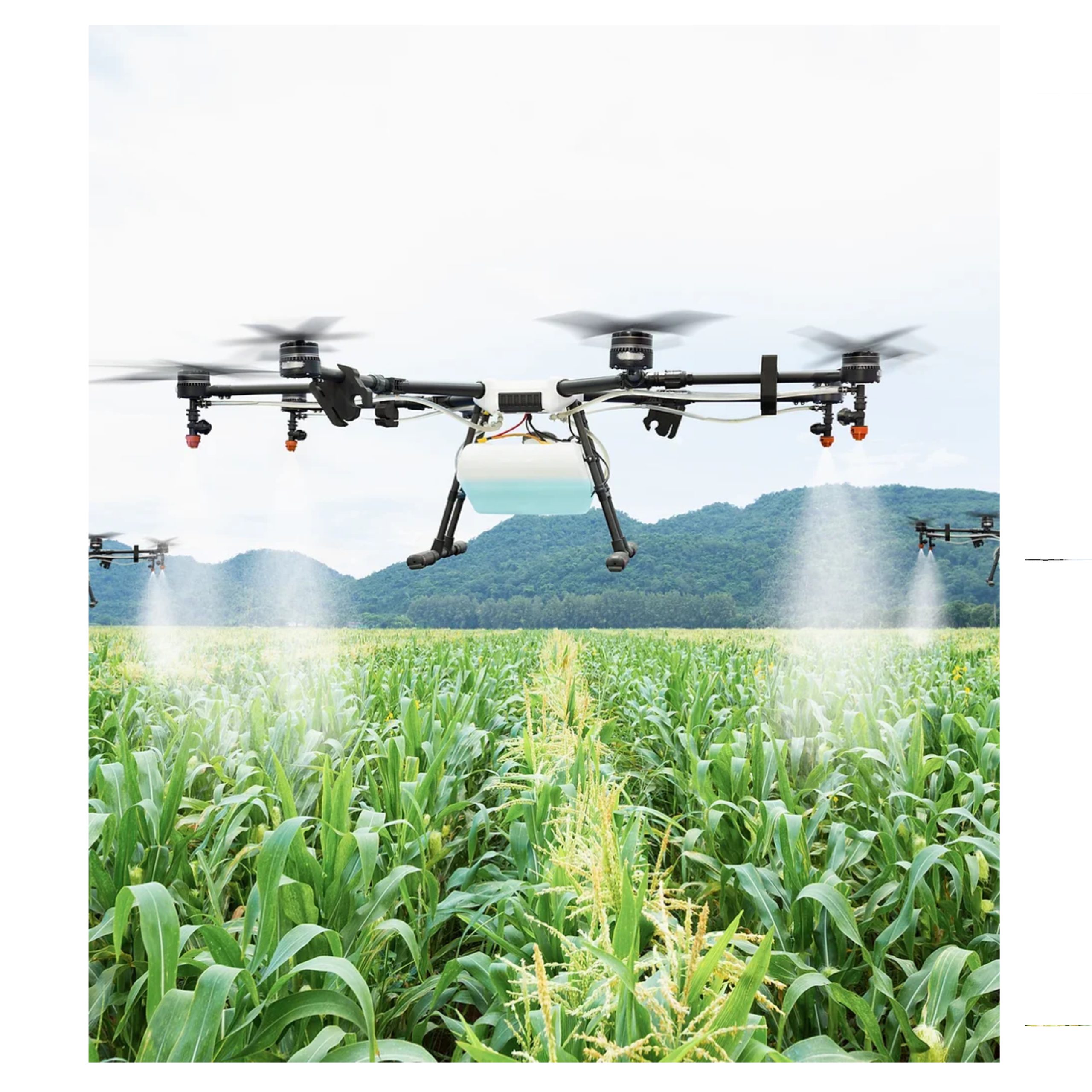 SEAD Artists Webinar: Drone Repeat – Introduction to the use of drones within Paludiculture