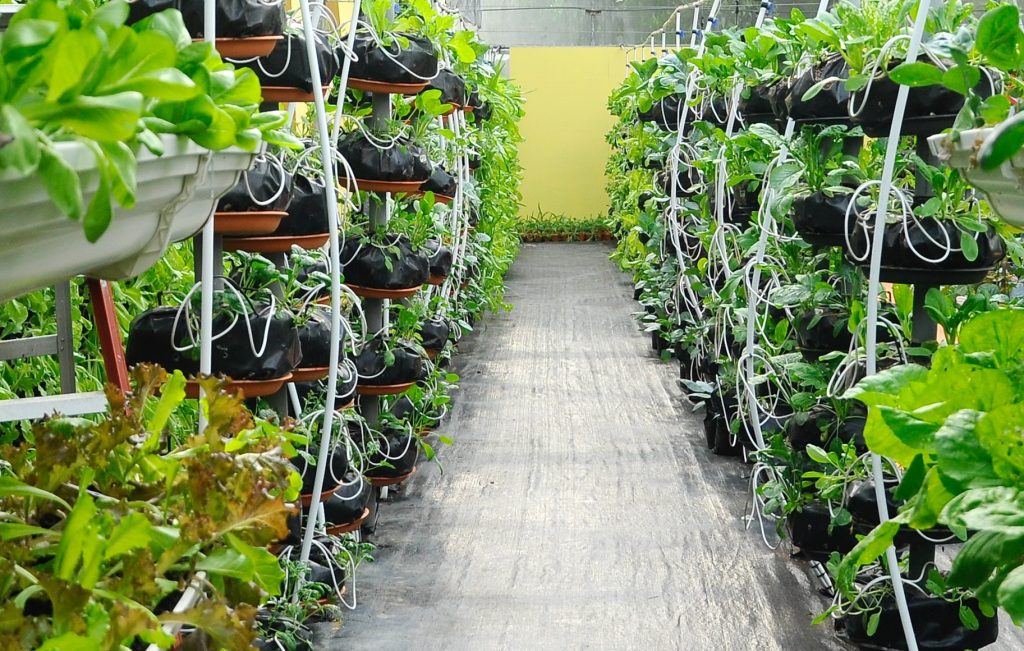 shutterstock_661209490-89bad155