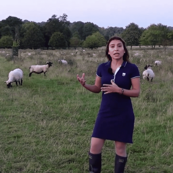 1978: What can the ‘facial action coding system’ tell us about animal health?