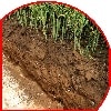 EU has 100 years of top soil left Soil SIG told