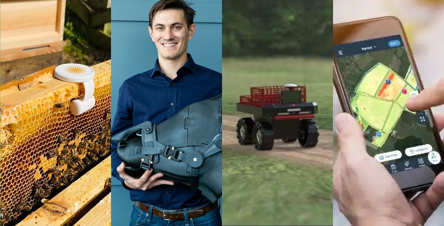 Nurturing, supporting, scaling – the UK start-up landscape