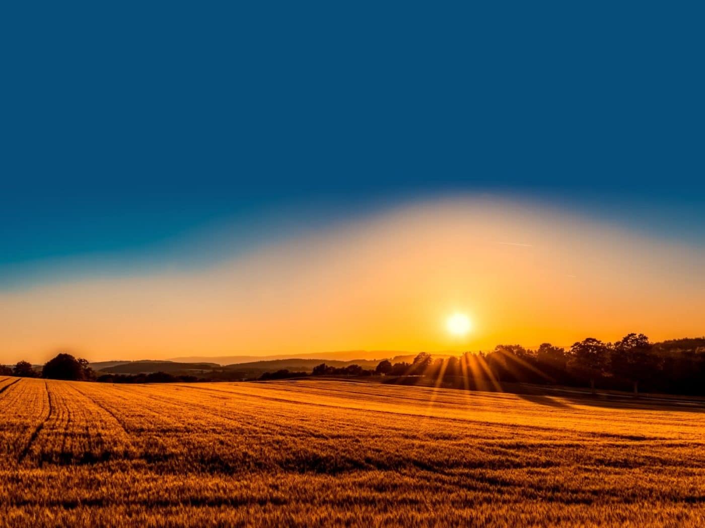 Overcoming the limitations of time – REAP report launched