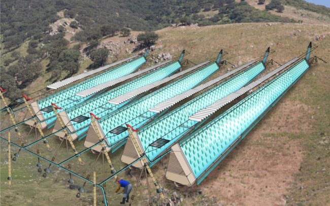 Airponix Solution nutrient spray reduces water requirements in Kenyan trial