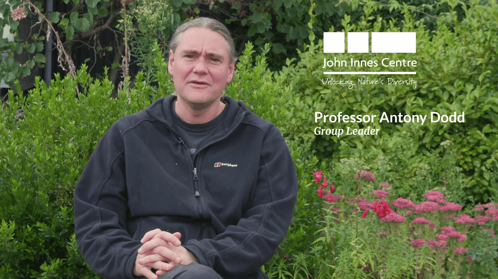 Antony Dodd: 1880: What do Greenwich Mean Time, the first electric train and the Pirates of Penzance have in common?