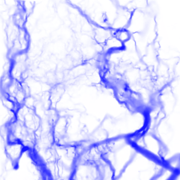 Altered Carbon: New study shows importance of manure for soil health