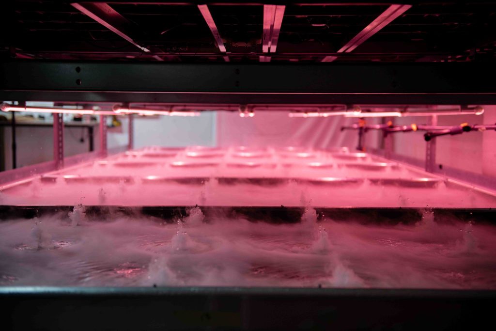 Aeroponic-Rolling-Benches-from-LettUs-Grow-1-2048×1365