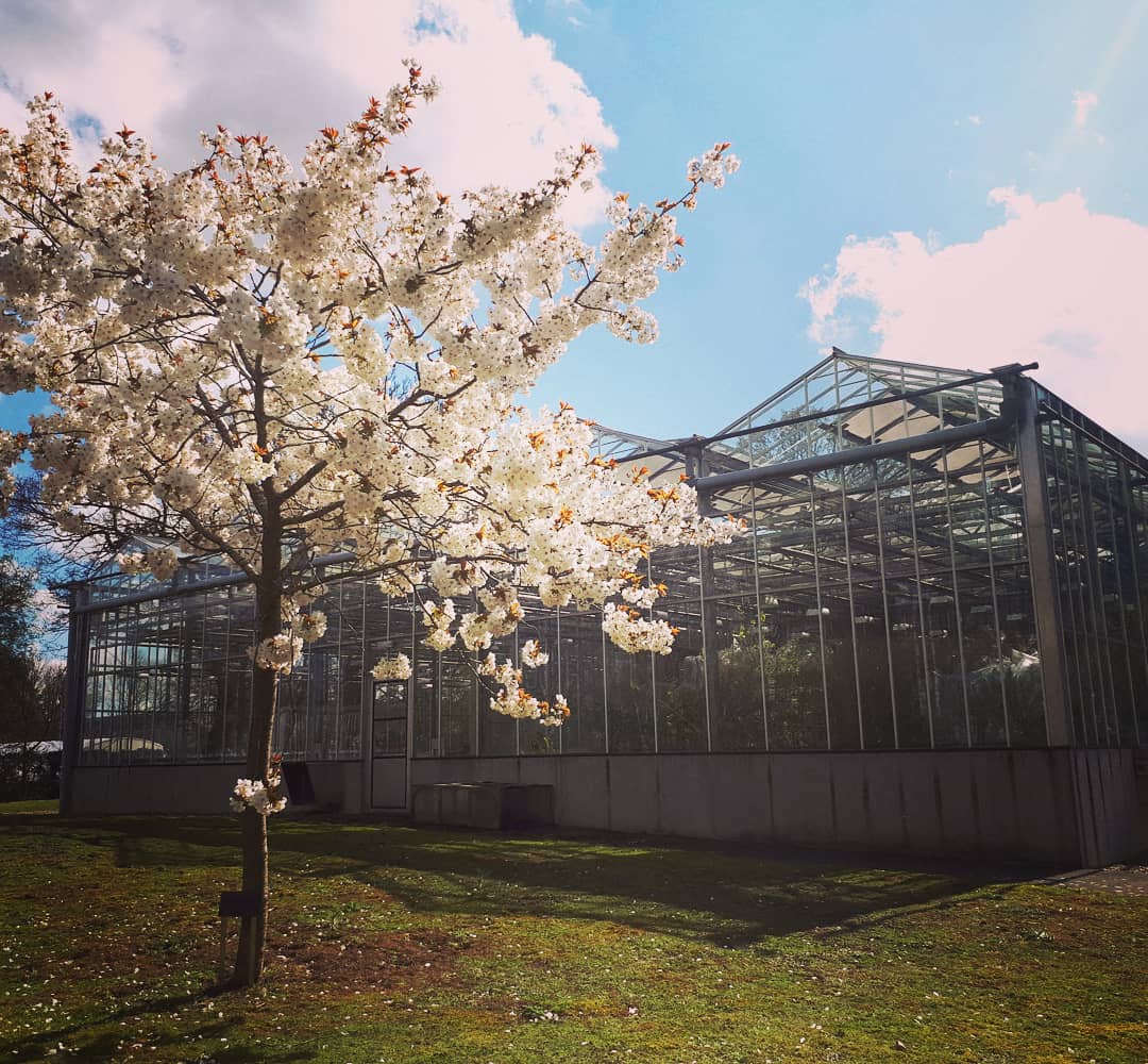 JIC Glass House 04042019