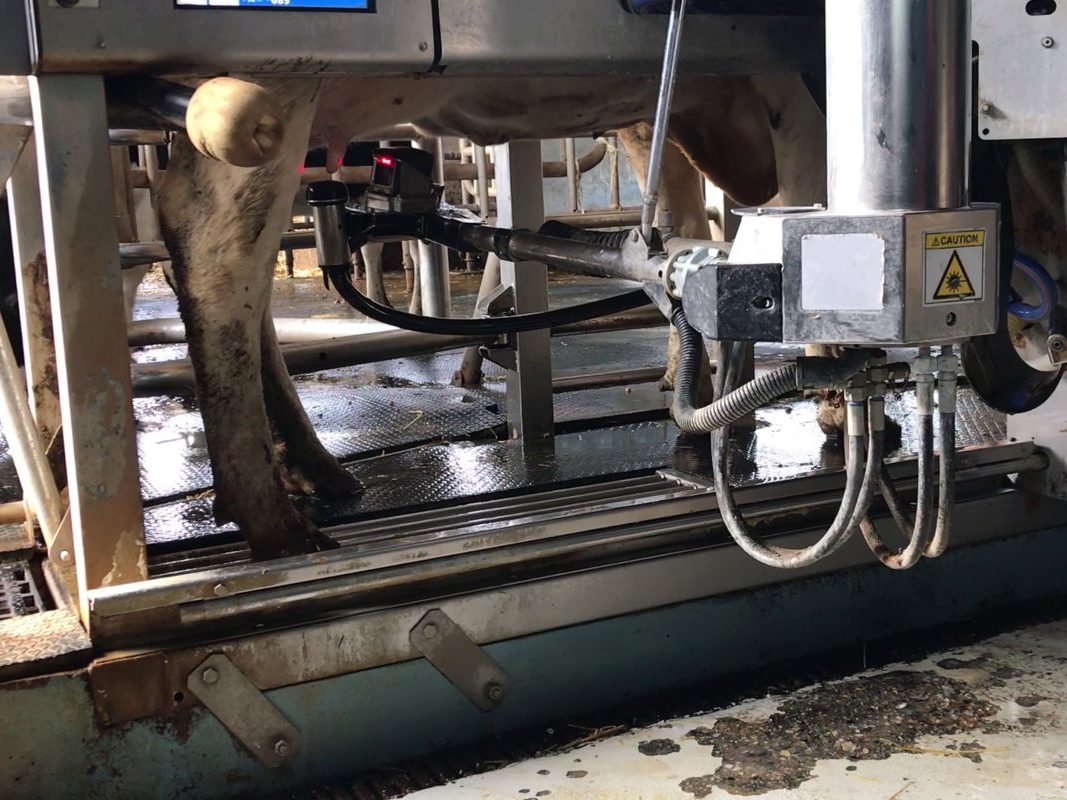 Robotic dairy