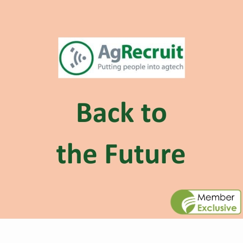 BTTF Featured Images (5)