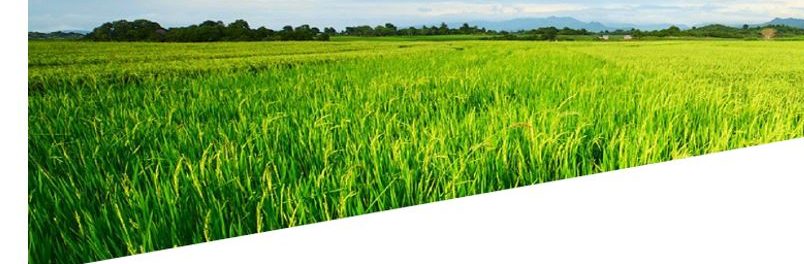 IAgrE Conference 2024, Rothamsted 6th Nov – What do we want out of agricultural Engineering?