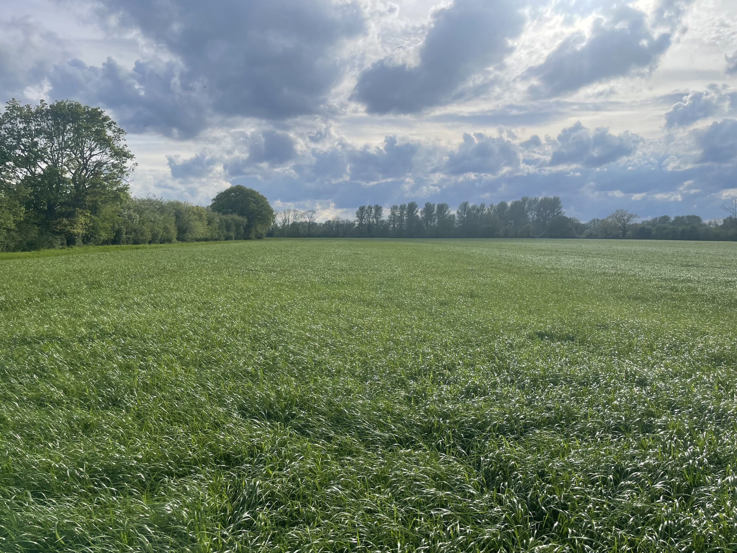 New farm supports plan to transform the future of food