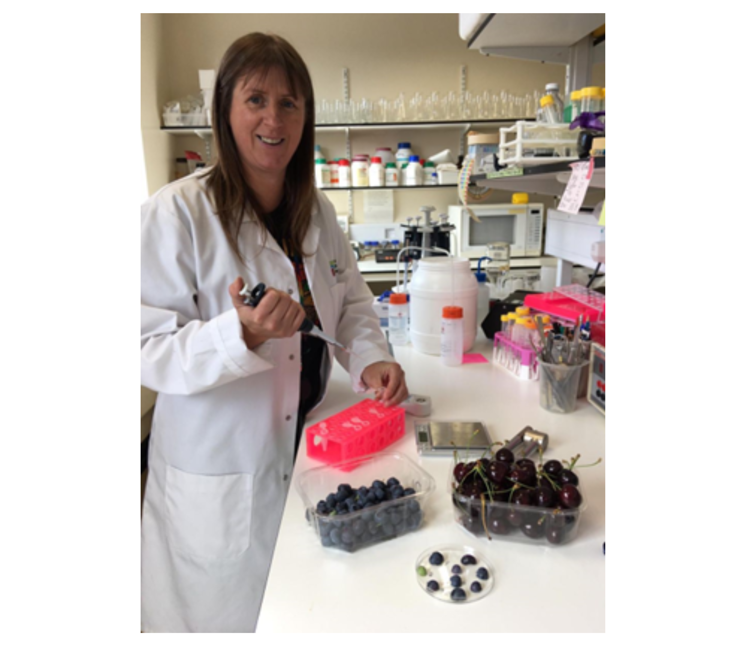 UK Blueberry Breeders Strive for Consistent Taste Appeal