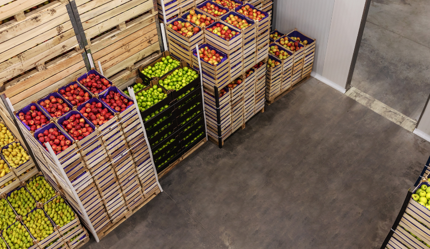 How resilient are global agri-food supply chains?