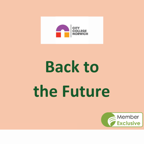 BTTF Featured Images (2)