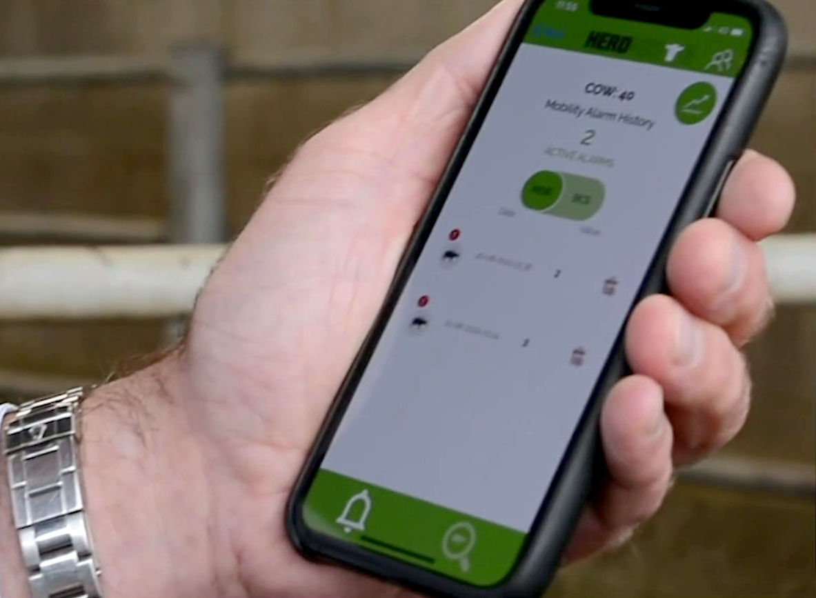 HerdVision was in the Start-Up Showcase at REAP 2023