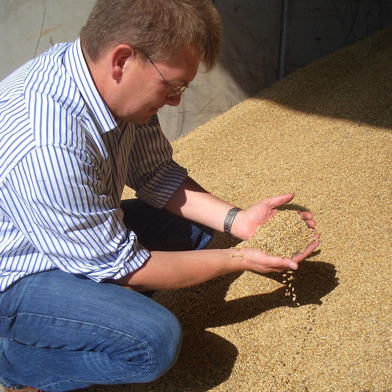 Mike Gooding - grain