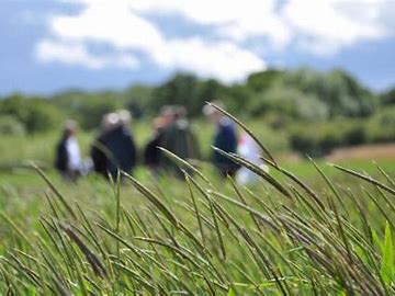 Resistance 2024: a showcase of UK and global pesticide resistance research