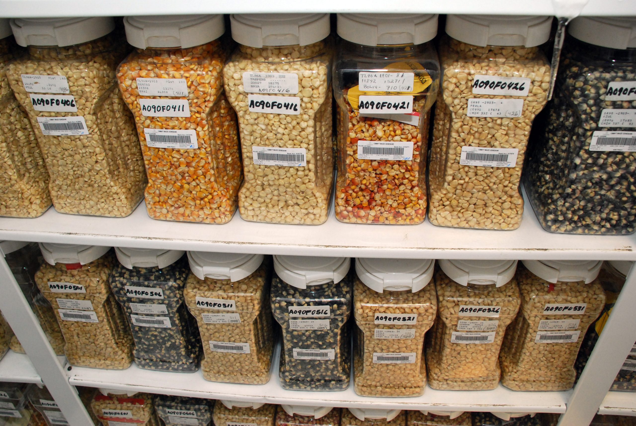 5979294226_af07140158_o