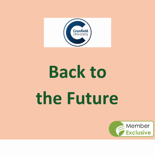 BTTF Featured Images (11)