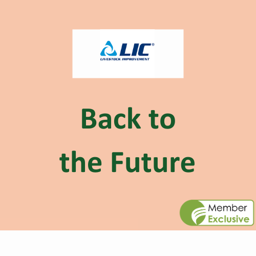 Livestock Breeding and Improvement with LIC UK
