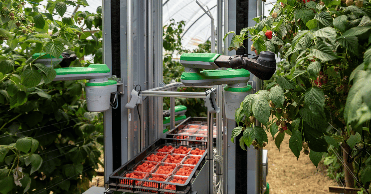Improved version of ‘Robocrop’ only picks ripe raspberries