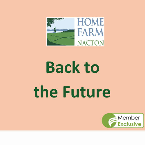 Macro Trends on a Micro Scale