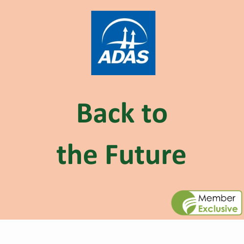 Practical Implementation of Disruptive Innovation