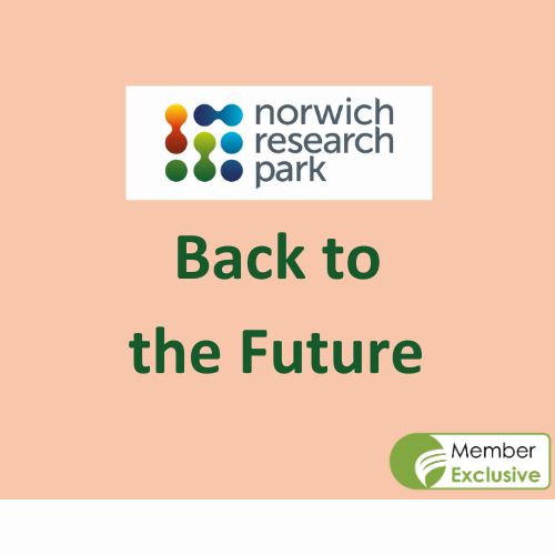 BTTF Featured Images (37)