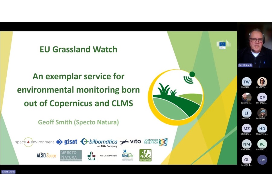 Untitled design (40)