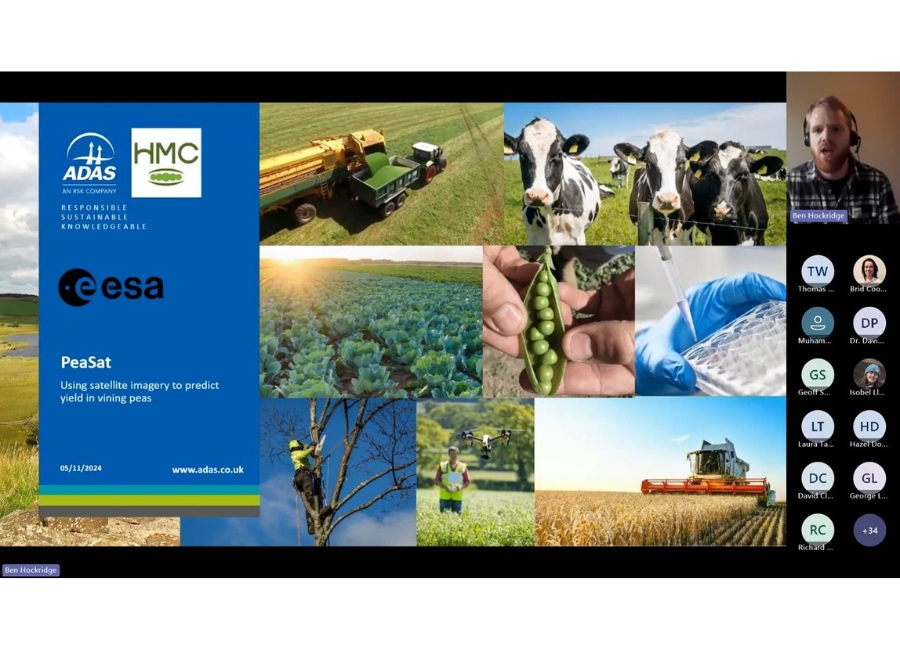 Untitled design (41)