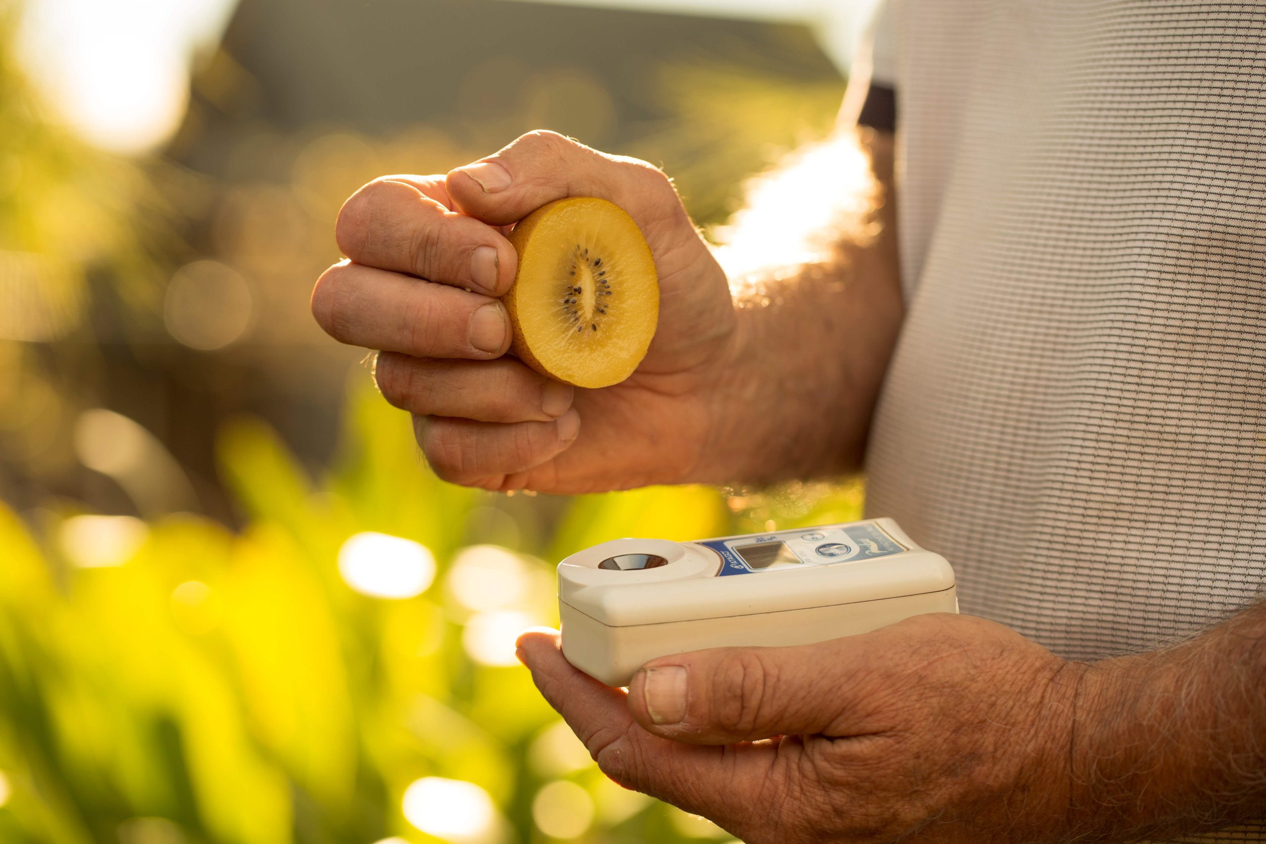 Significant Value Provided to Zespri International